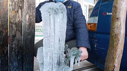 Küçükkuyu’da fidanlar buz tuttu