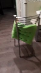 Kitty Opens Door With a Kick