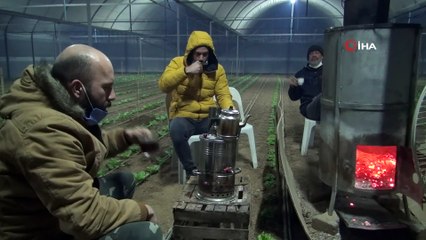 Eksi 5 derecede ‘zirai don’ nöbeti