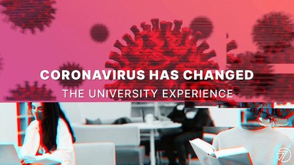 Rise at Seven advert encouraging students to leave university and join their company.