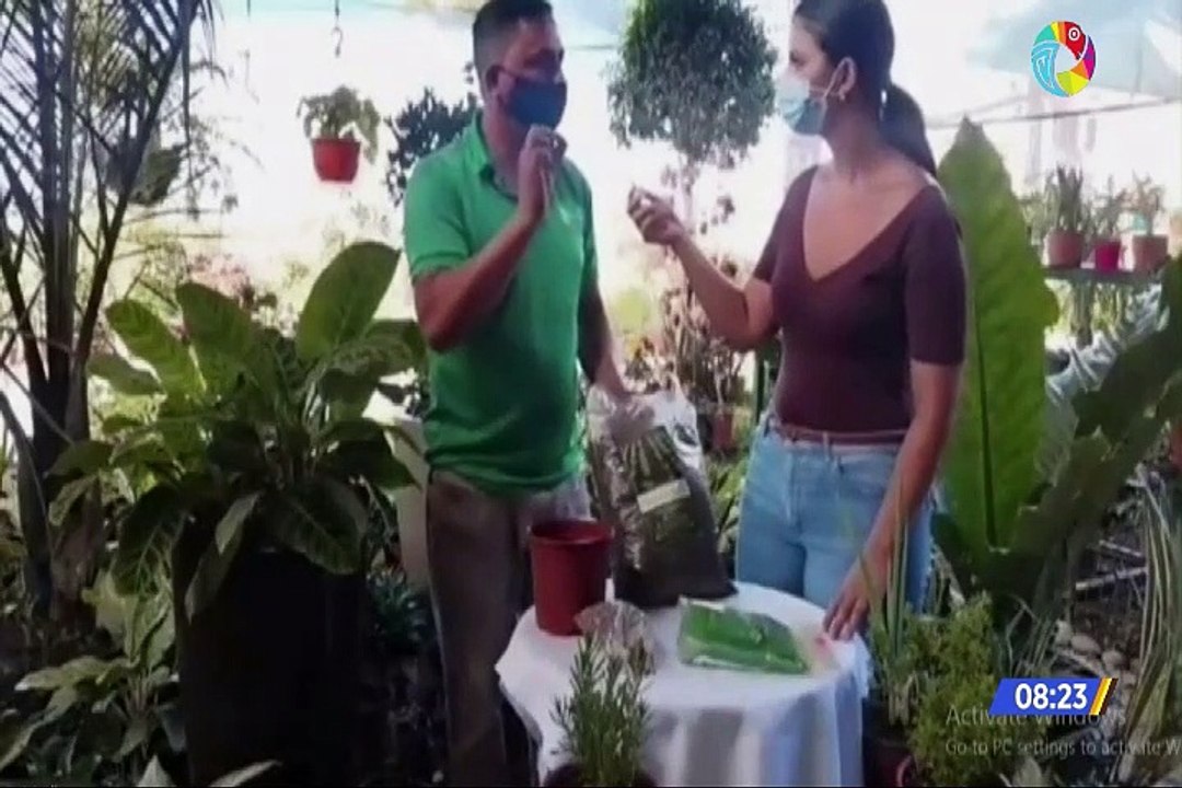 La huertas internas para sembrar alimentos
