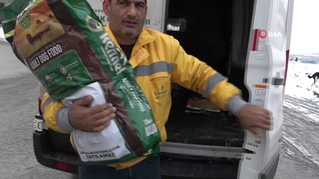 - Çankaya Belediyesi soğukta kalan sokak hayvanlarını unutmadı