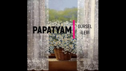 Gürsel İleri - Papatyam