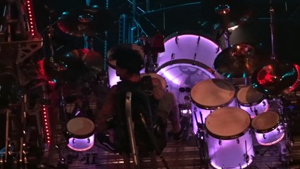 Tommy Lee's Roller Coaster Breaks Down during Concert