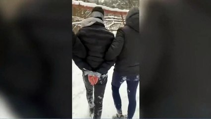 fydofylu medziotojai - Ziniu repportazas