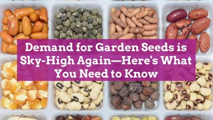 Demand for Garden Seeds is Sky-High Again—Here's What You Need to Know