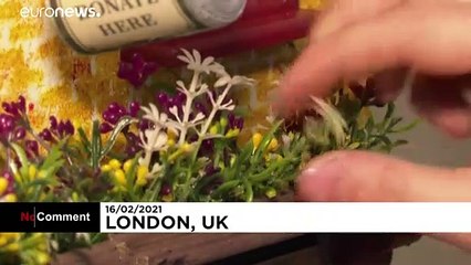 Boxes shaped like miniature shops used as food donation points