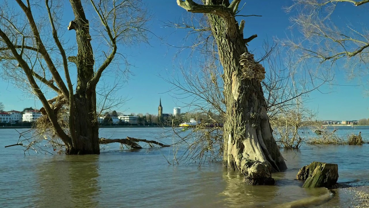 Rheinufer Winter Impressionen