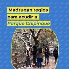 Disfrutan regios aguanieve en Parque Chipinque