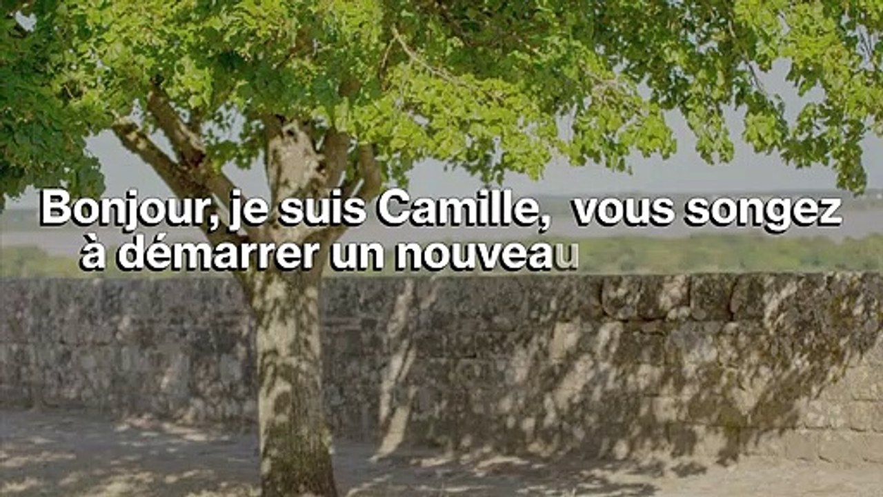 VDI - Vendeur à Domicile Indépendant - Comment démarrer mon activité et choisir mon statut juridique