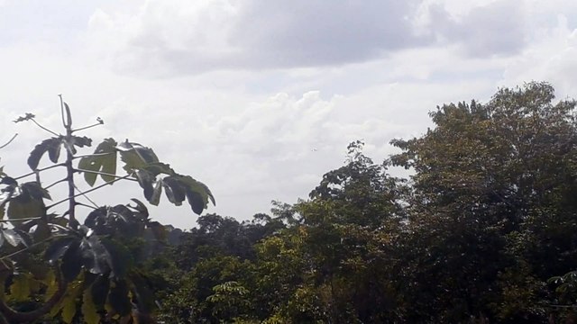 Airbus A320 PR-MHG na final antes de pousar em Manaus vindo de Guarulhos