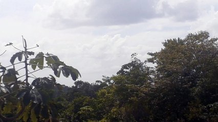 Airbus A320 PR-MHG na final antes de pousar em Manaus vindo de Guarulhos