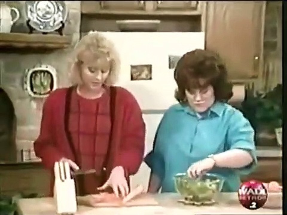 Small Wonder Season 3 E14 Here Today, Gone Tomorrow S3 E14 (Without intro song)