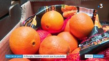 Marché de Rungis : une association récupère les fruits et légumes invendus