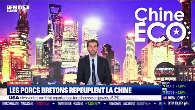Chine Éco : Les porcs bretons repeuplent la Chine par Erwan Morice - 17/02