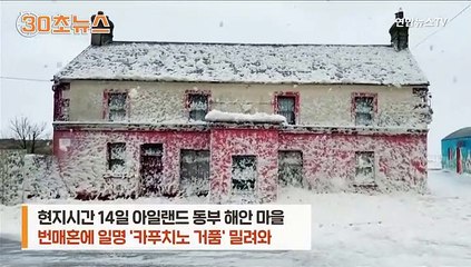 [30초뉴스] '카푸치노 거품'의 습격…원인은 역시 온난화?