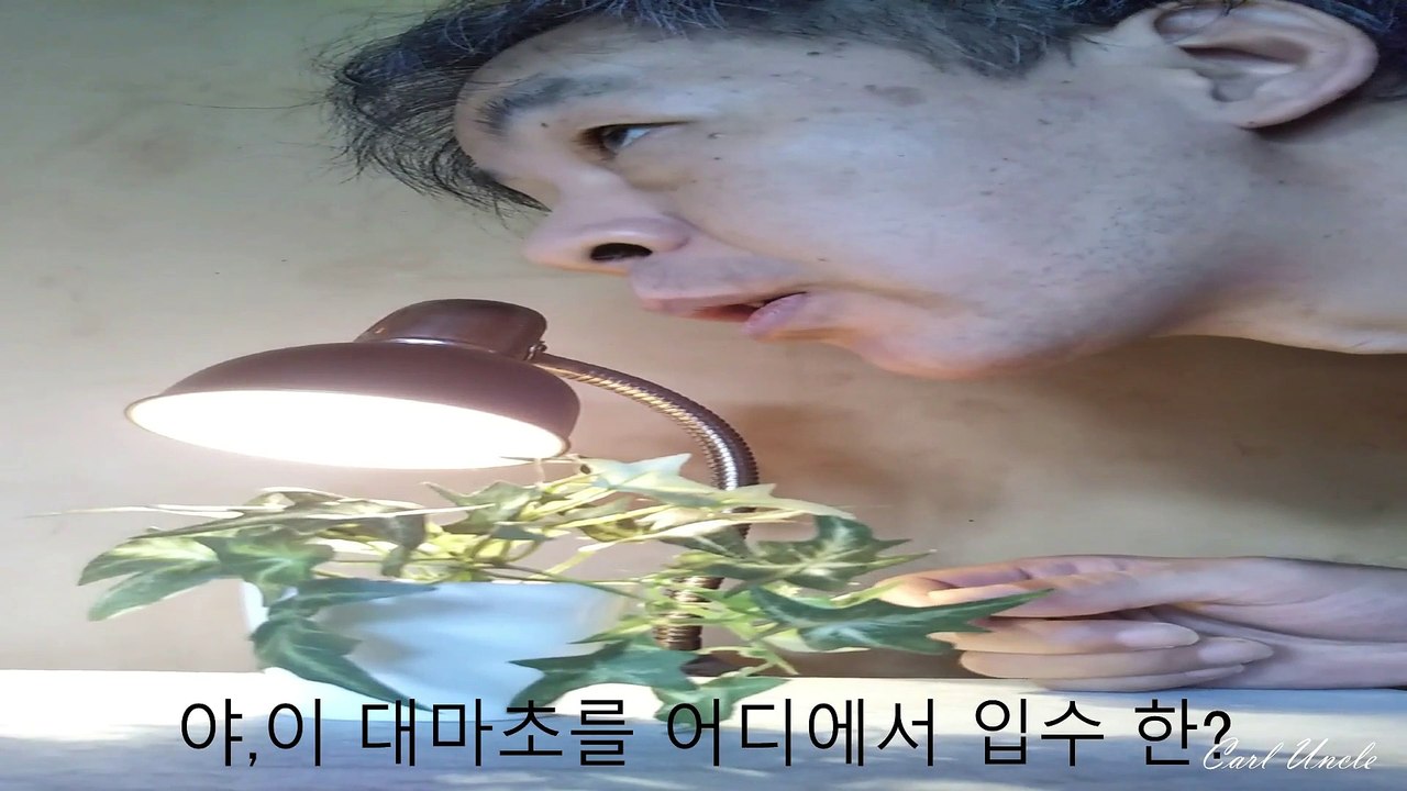 위대한 엘리트 형사