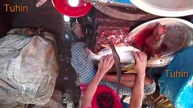 Amazing Big Fish Market in bd Huge Fresh Fish Available Market in bd