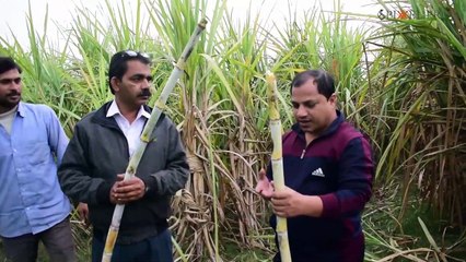 Anndata | अन्नदाता | Kisaan Short Film | Sam Productions | Pixxel Pro