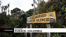شاهد: العلماء والسكان الأصليون في كولومبيا صفًا واحدا لحماية حيوان الكوندور