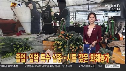 Descargar video: [1번지五감] 졸업·입학 특수 실종…시름 깊은 화훼농가 外