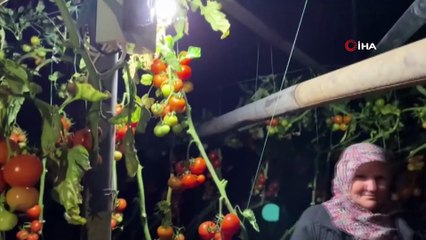 Kadın çiftçilerin don nöbeti