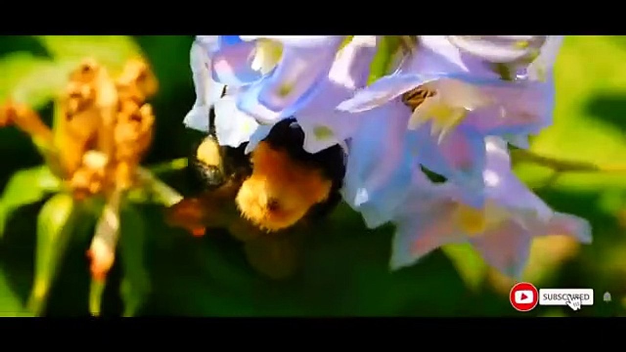 way to motivate by indua’s best motivational speaker sonu sharma