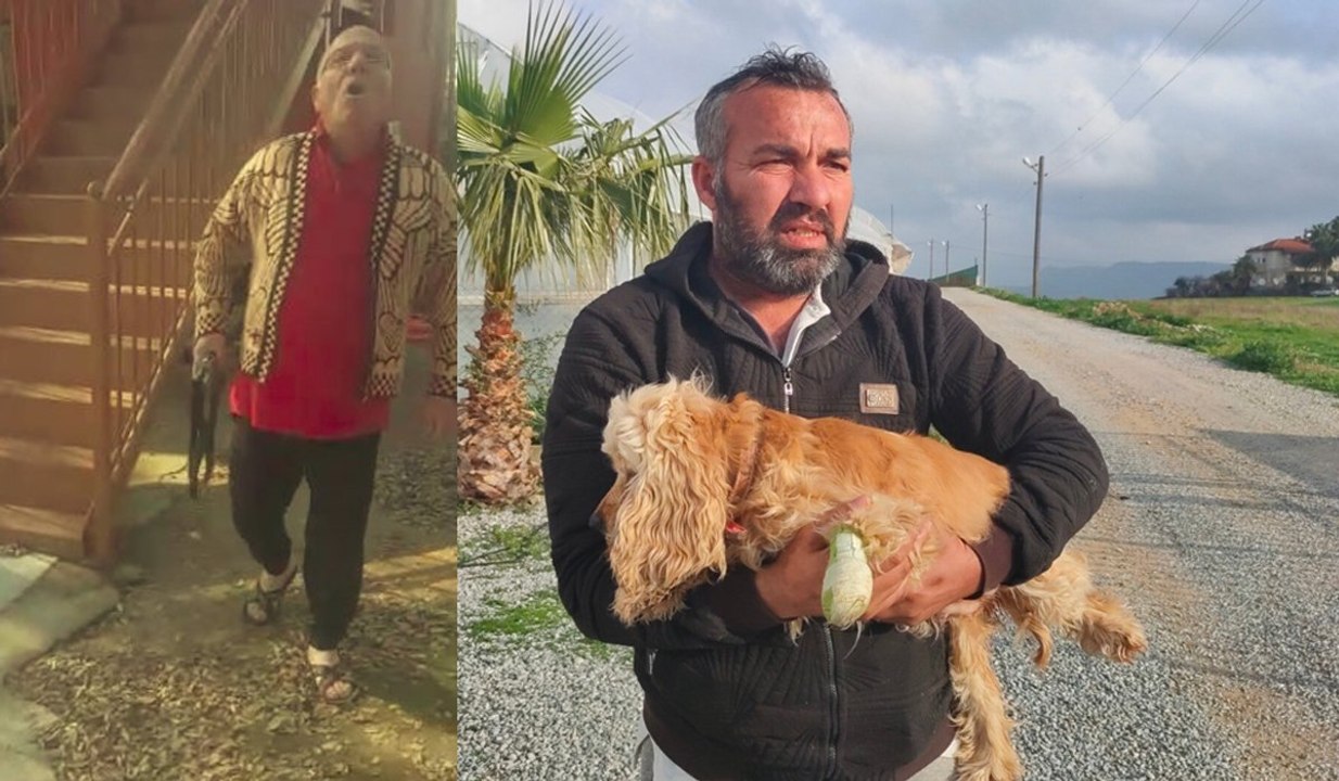 Elinde tüfekle köpeği kovalarken yakalandı, köpek sahibine etmediği hakaret kalmadı
