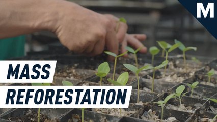 A former Reddit CEO is turning arid land into robust forests. Here’s how to scale it globally.