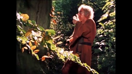 Catweazle S1/E8 'The Power of Adamcos' Geoffrey Bayldon • Robin Davies,Aubrey Morris,David Ellison