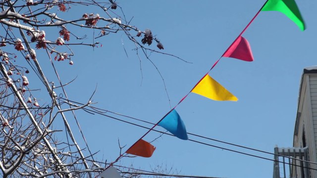 Le cinéma québécois - Un voyage inattendu