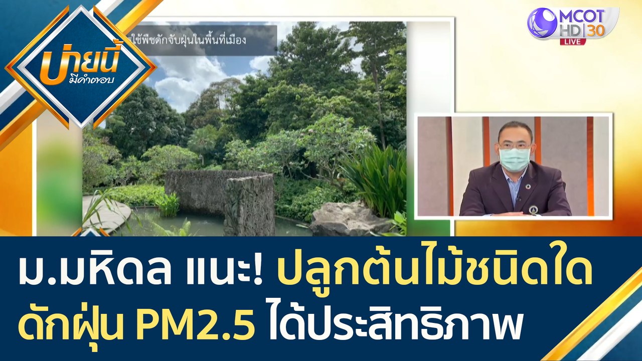 ม.มหิดล แนะ! ปลูกต้นไม้ชนิดใด ดักฝุ่น PM2.5 ได้...