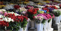 Les dix fleurs les plus romantiques à offrir