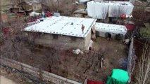 Diyarbakır’da dev uyuşturucu operasyonu: 1 milyon 258 bin kök kenevir ve 1 ton 734 kilo uyuşturucu ele geçirildi