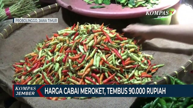 Musim Hujan, Harga Cabai Meroket, Tembus 90 Ribu Rupiah Per Kilogram