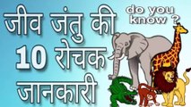 जीव जंतु की 10 रोचक जानकारी | Interesting animal information | Sumit Saini IQ