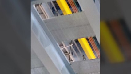 강릉 화력발전소에서 작업자 추락 사고...1명 숨져 / YTN