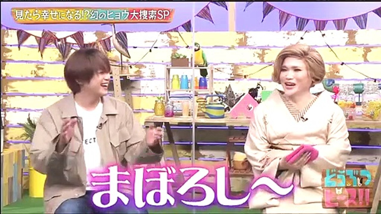 miomio 動画サイト - miomio 動画 - Miomio     どうぶつピース 動画 2021年2月 18日