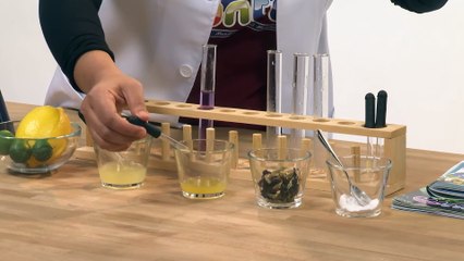 Wahh, Airnya Bertukar Warna!! | Eksperimen Bunga Telang Bersama Kelab Sains Pintar