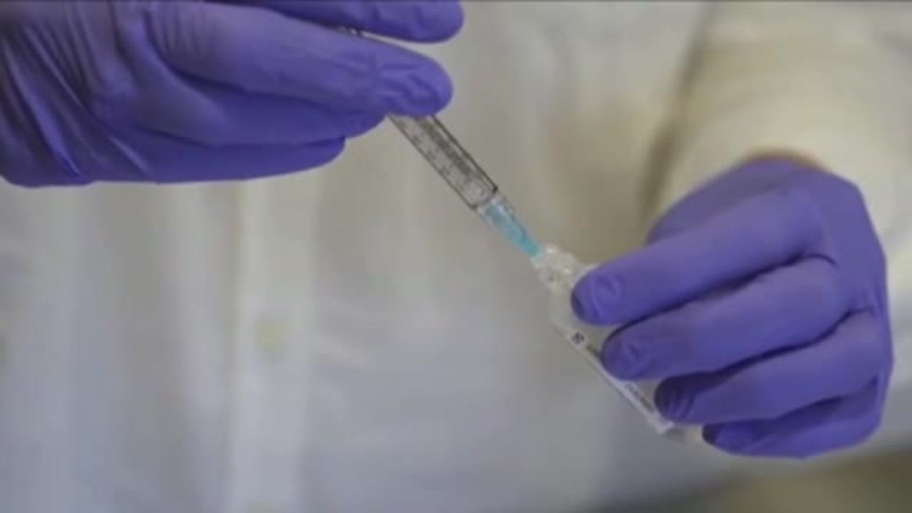 España recibirá 8 millones de vacunas entre febrero y marzo