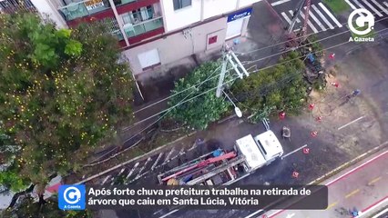 Descargar video: Após forte chuva prefeitura trabalha na retirada de árvore que caiu em Santa Lúcia, Vitória