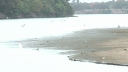 Sequía en el río Magdalena pone en jaque a transportadores fluviales