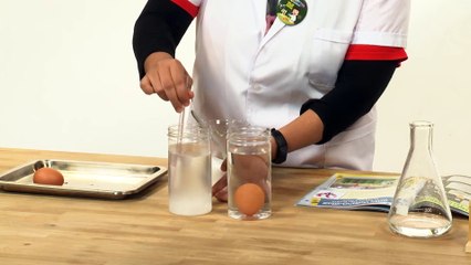 Apakah itu ketumpatan air? | Eksperimen Telur Terapung bersama Kelab Sains Pintar