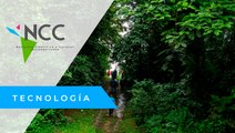 Costa Rica ofrece a turistas compensar emisiones de carbono causadas por su traslado