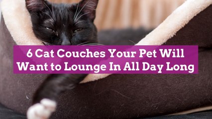 6 Cat Couches Your Pet Will Want to Lounge In All Day Long