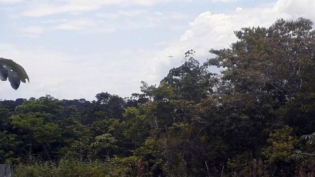 Airbus A330 PR-AIW na aproximação final antes de pousar em Manaus vindo de Campinas