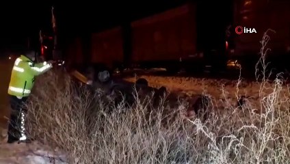 Tren hemzemin geçitte otomobile çarptı