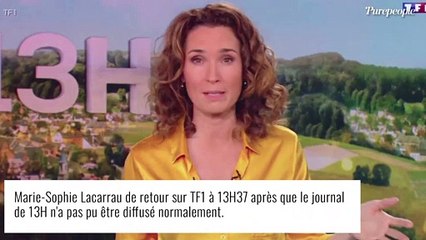 Grosse panne au JT de TF1 : Jean-Pierre Pernaut "pas étonné", il s'explique...
