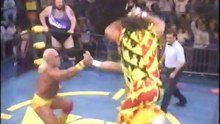 Hulk Hogan & Macho Man vs Butcher & Avalanche [1995-02-26]