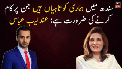 We have done mistakes in Sindh that need to be addressed: Andleeb Abbas